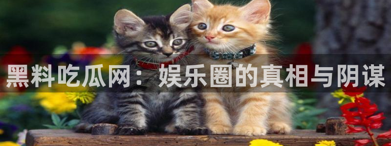 吃瓜爆料免费：黑料吃瓜网：娱乐圈的真相与阴谋