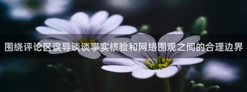 国产51吃瓜：围绕评论区误导谈谈事实核验和网络围观之间的合理边界