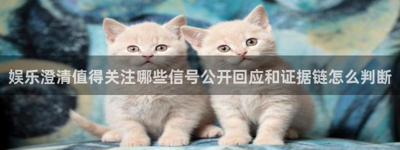 吃瓜网网站:娱乐澄清值得关注哪些信号公开回应和证据链怎么判断