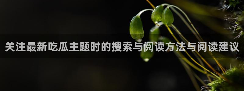 17吃瓜:关注最新吃瓜主题时的搜索与阅读方法与阅读建议