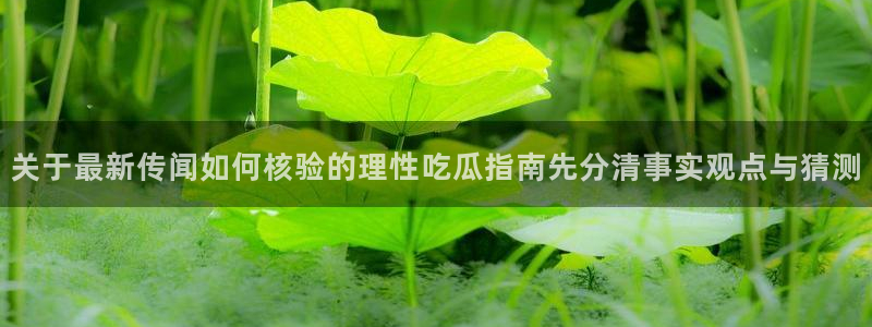 91吃瓜在线观看：关于最新传闻如何核验的理性吃瓜指南先分清事实观点与猜测
